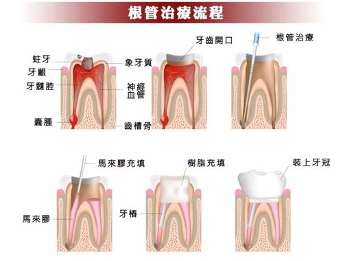 微信圖片_20200925095559.jpg