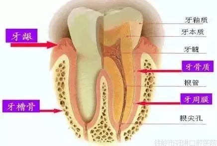 微信圖片_20210816093518.jpg