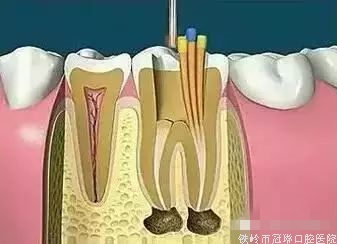 微信圖片_20211005083559.jpg