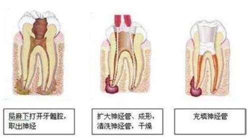 微信圖片_20200917151411.jpg