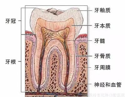 微信圖片_20210411092928.jpg