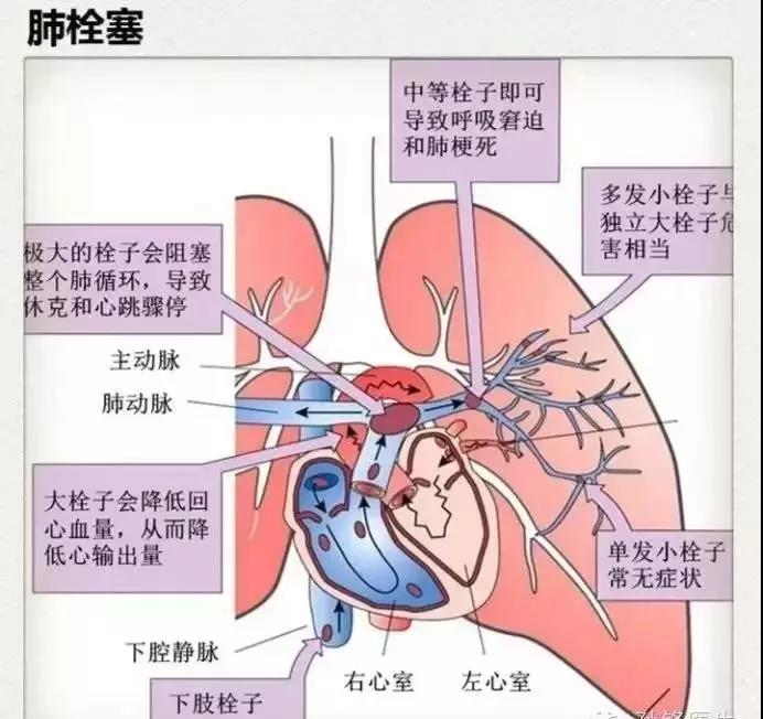 微信圖片_20200701092240.jpg