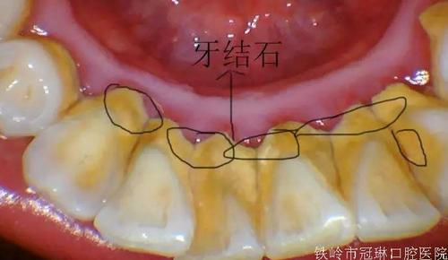 微信圖片_20201225085924.jpg