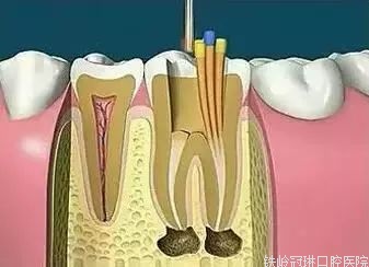 微信圖片_20211202135745.jpg