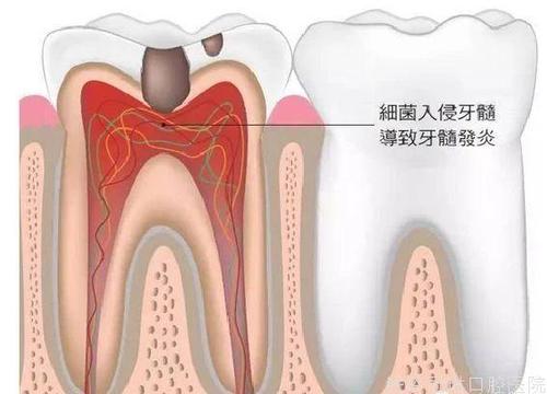 微信圖片_20211202135729.jpg