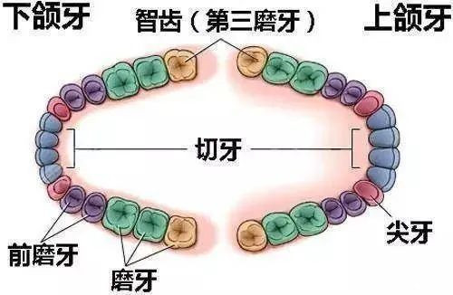 微信圖片_20220330104705.jpg