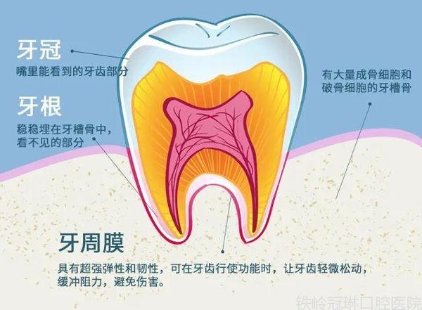 微信圖片_20211020093617.jpg