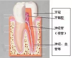 微信圖片_20220212100444.jpg