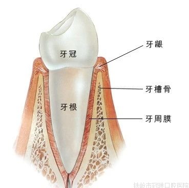 微信圖片_20210810104044.jpg