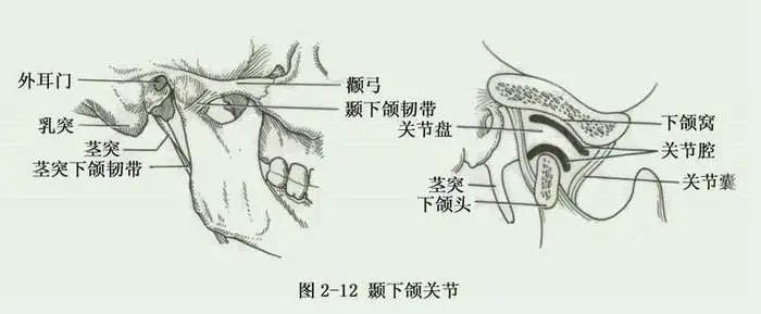 微信圖片_20200810133332.jpg