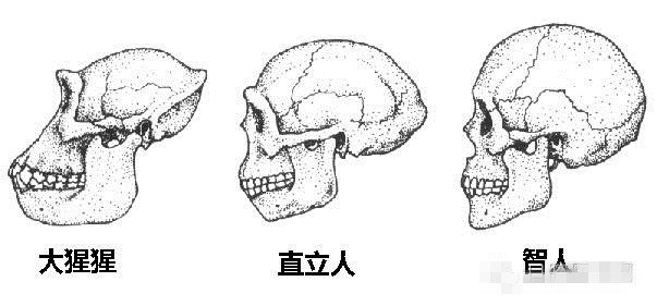 微信圖片_20200811095848_副本.jpg