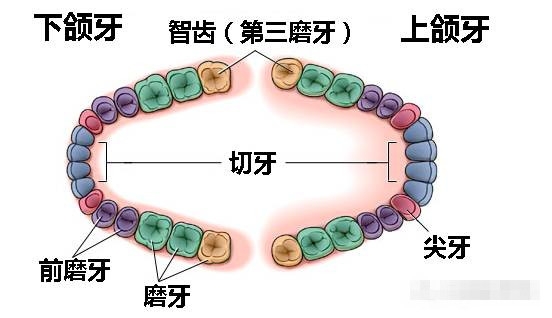 微信圖片_20200811095734_副本.jpg