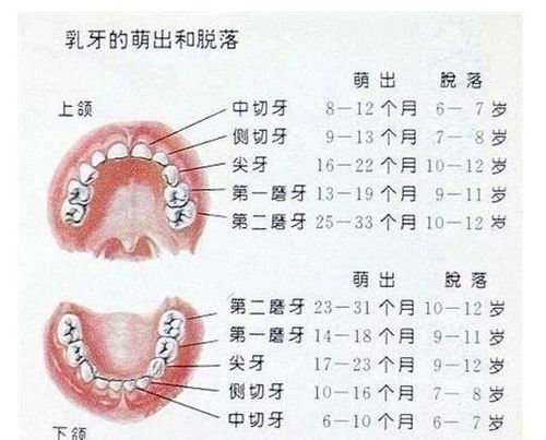 微信圖片_20200910095046.jpg