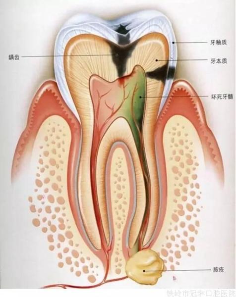 微信圖片_20210709133027.jpg